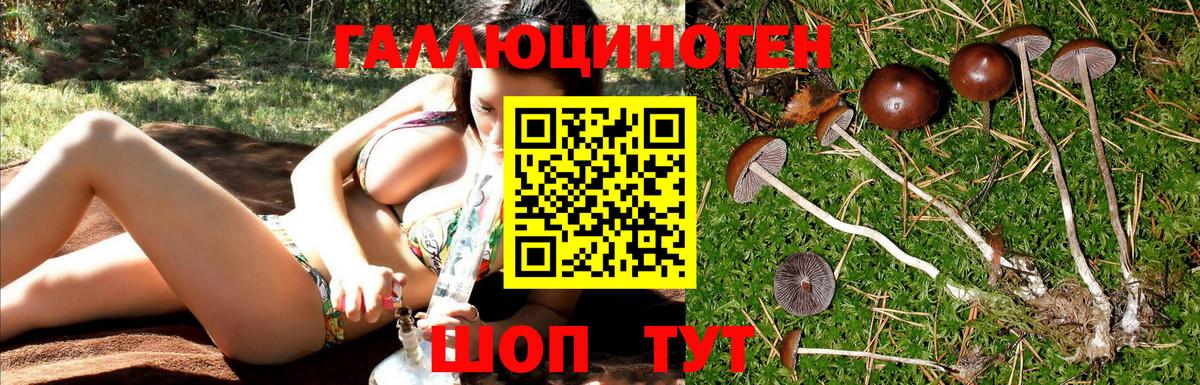Галлюциногенные грибы Magic Shrooms Коммунар
